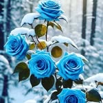 ABMALIK - @malikgrossirhp - Instagram