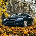 Malik Hamad - @malikhamad3 - Instagram