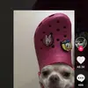 malikharrison126 - @justagodatapex - TikTok