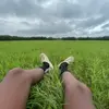 MlkHRtⓂ️ - @malikhart123 - TikTok