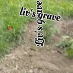 Malik Hogan - @malikhogan - Instagram