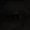..DOT - @hooper.malikk - TikTok