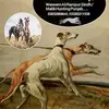 Punjab Hunting - @malikhunting99 - TikTok