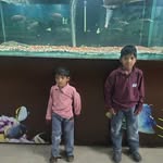 Malik Ikram - @wolf.965799 - Instagram