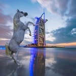 Malik Islam - @malikislam323 - Instagram