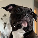 Malik Kemp - Facebook
