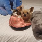 Malik Leblanc - Facebook