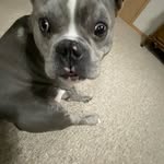 Malik lopez - @mal_iklopez - Instagram