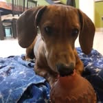 malik martinez - @malikmartinez39 - Instagram