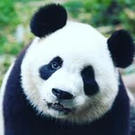 malik martinez - @malikmartinez_2007 - Instagram