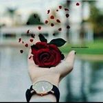 Mays Malik - @maysmalik - Instagram