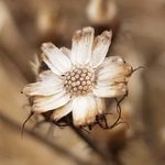 Malik Mckoy - @poetry_session - Instagram