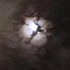 Malik McNeil - @malik.mcneil6 - TikTok