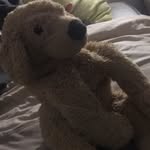 Malik - @malik_le_mouton - Instagram