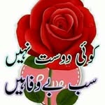 Malik Munir Ahmed - @malikmunirahmed - Instagram