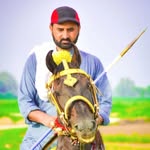 Malik Munir Awan - @awanmalikmunir - Instagram