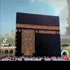 Malik Munir - @malikmunir025 - TikTok