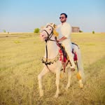 Malik Munir Saleem - @malikmunirsaleem - Instagram