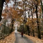Huma - @maliknashaiman - Instagram