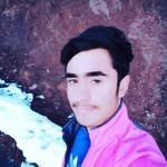 Malik Nashat - @nashatmalik - Instagram