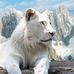Malik Nisar - Facebook