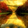 Sohail Malik - @sohail.malik.pace - TikTok