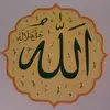 Malik Patel - @malikhusain9644 - TikTok