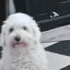 Malik Phillips - @malik.phillips - TikTok