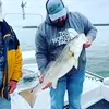 Malic Poole - @malic.poole - TikTok