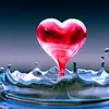 Noor Malik - @malik_pride_1999 - TikTok