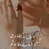 Malik Aftab - @malikrafiq383 - TikTok