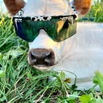 Malik - @mal.ikramirez77 - Instagram