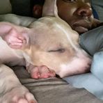 Malik Illy Randolph - Facebook