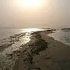 raymondmalik891 - @raymondmalik891 - TikTok