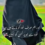 ꧁☬𝓜𝓪𝓵𝓲𝓴 𝓡𝓪𝔃𝓪.☬꧂ - @malikaliraza3025 - Instagram
