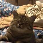 Malik scott - @malik.scott.1357 - Instagram