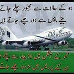 malik shareef - @malik_shareef - Instagram