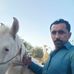 Malik Shareef - Facebook