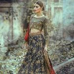 Malik Shareef - @malik.shareef.775 - Instagram