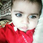 Malik Shareef - @malik.shareef.5015 - Instagram