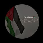 𝗦𝗵𝗮𝗿𝗲𝗲𝗳 𝗠𝗮𝗹𝗶𝗸 - @shareef__malik - Instagram