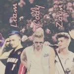 Cody+Liam+Zayn ❤ - @simpsonpaynemalik - Instagram