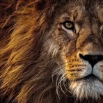 Malik Stenson-Miller - Facebook