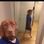 Malik Strong - @leek83kruschev - Instagram