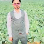 Talib Malik - @maliktalib8471 - Instagram
