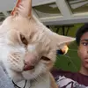 Malik Terrell - @milkteerell - TikTok