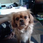 Malik Townsend - Facebook