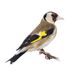 Malik Wahid - Facebook