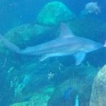 malikwatts - @malikwatts35 - Instagram