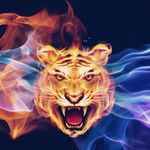 Lathan Malik Webster - @websterlathanmalik - Instagram